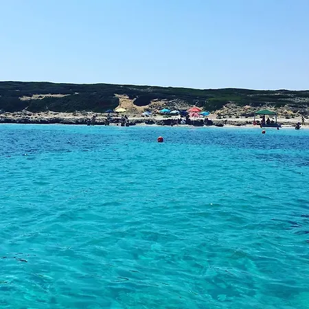 Tzia Rosa بيت ضيافة