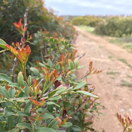 Tzia Rosa * Bosa