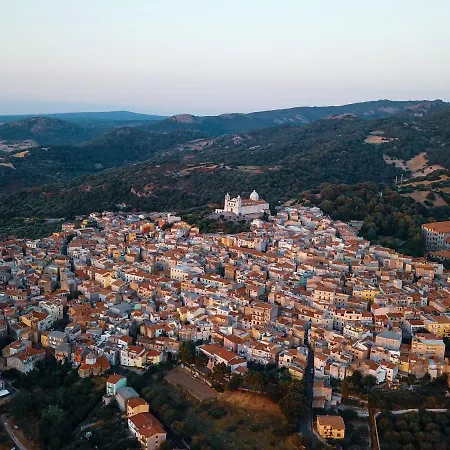 Tzia Rosa